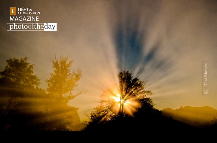 Nature’s Light Show, by Tina Primozic