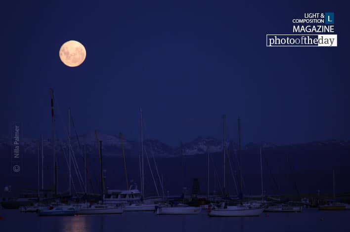 The Rising of the Moon, by Nilla Palmer