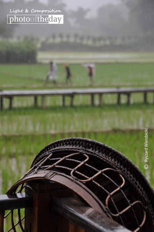 Terrace View, by Ryszard Wierzbicki