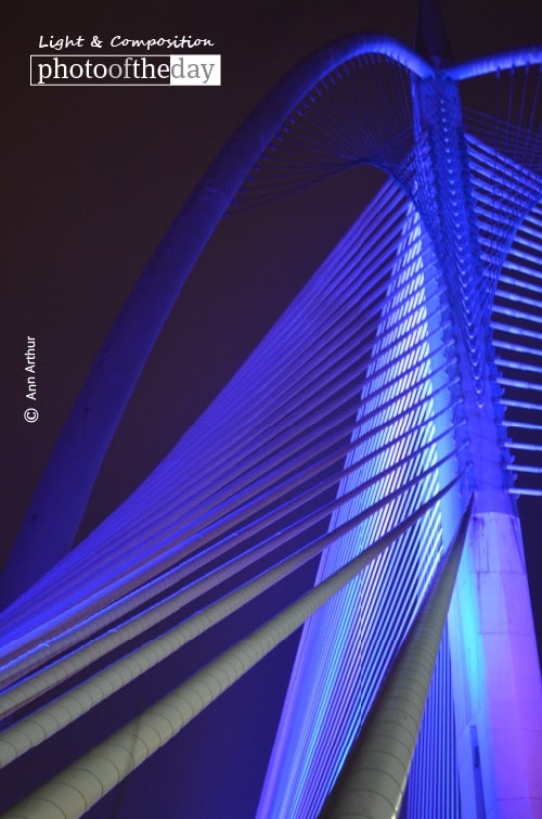 The Night Ride, by Ann Arthur