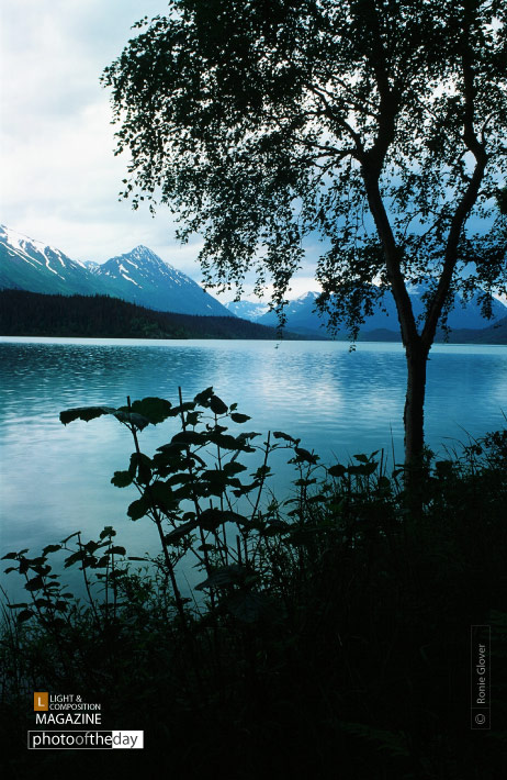 At the Water's Edge, by Ronnie Glover