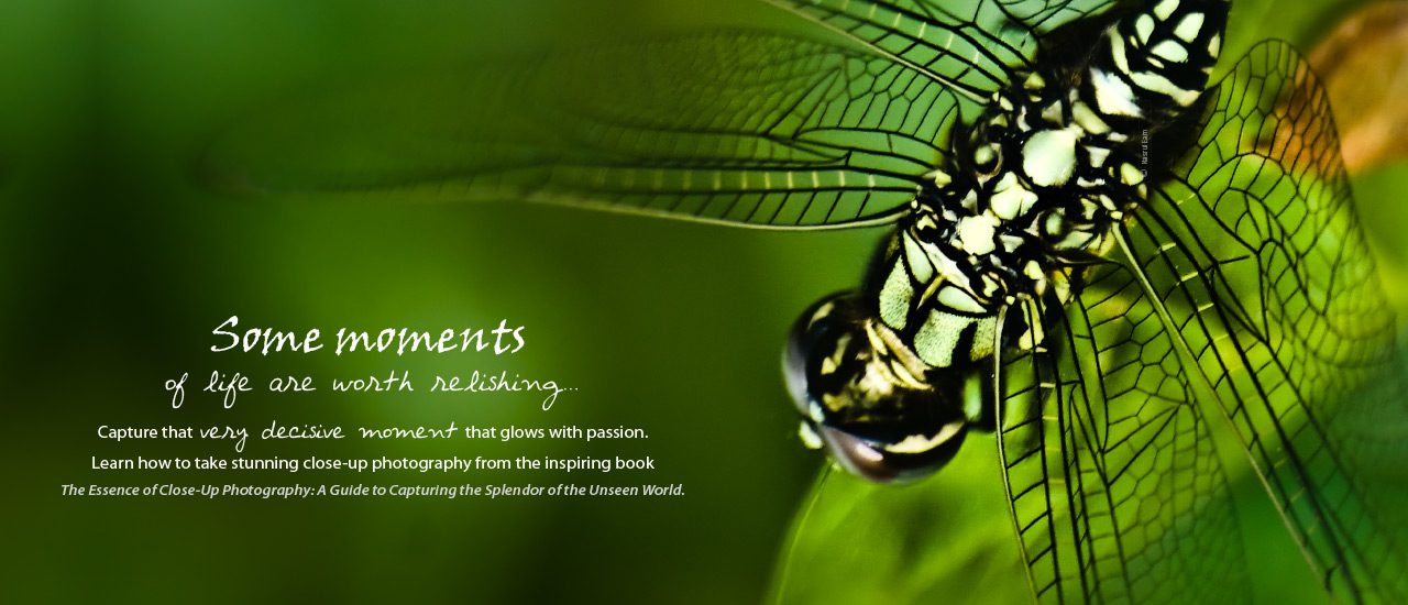 The Essence of Close-up Photography - Close-up Photography, Nature Photography, Macro Photography, Photography Techniques, Photography Book