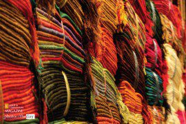 Chatuchak, by Aude-Emilie Dorion - Photojournalism, Color Photography, Documentary Photography, Award Winning Photography, Chatuchak Market