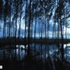 Silent Trees in a Watery Unset by Mostafa Monwar - Nature Photography, Photo of the Day, Photography Awards, Art Photography, Online Photography Courses