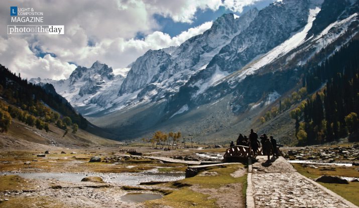 The Path to Paradise by Robin Vetrady