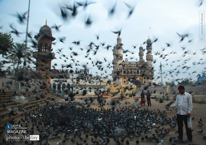 Calm Amidst the Flurry, by Lakshmi Prabhala