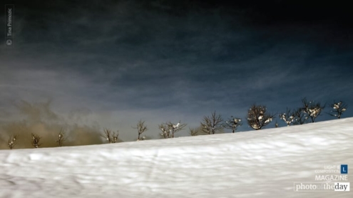 Between Order and Randomness by Tina Primozic - Minimalist Photography, Award Winning Photography, Art Photography, Photo of the Day, Photography Awards