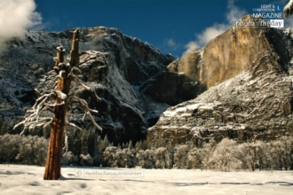 Yosemite Falls, by Pavithra Ramasubramanian