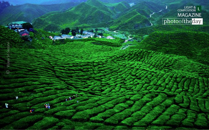 Garden of Bliss, by Vijaya Sri Sanjevi