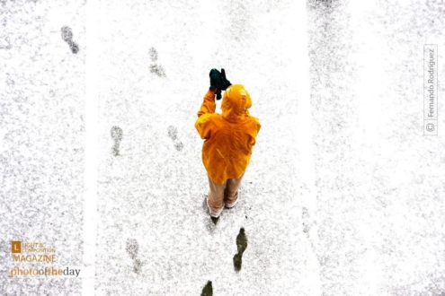 Let's Play by Fernando Rodríguez - Color Photography, Photo of the Day, Award Winning Photography, Photography Education, Online Photography Courses