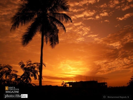 Particle Sunset by Muhammed Najeeb - Sunset Photography, Photography Awards, Photo of the Day, Award Winning Photography, Nature Photography