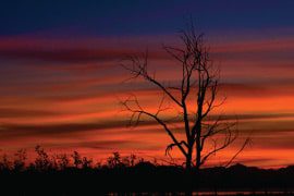 An Exclusive Interview with Aarthi Ramamurthy - Photography Interview, Macro Photography, Nature Photography, Photography Hobby,  Photographer Interview