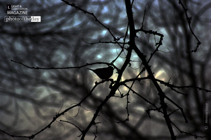 Hope, by Alminar Sagar - Conceptual Photography, Photo of the Day, Photojournalism, Photography Awards, Alminar Sagar