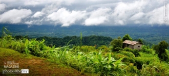 This Is Where I Want to Be