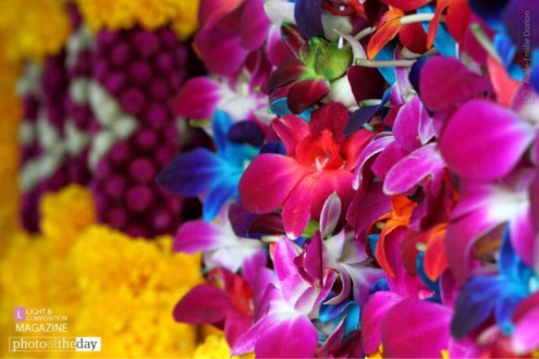 Market Daze, by Aude-Emilie Dorion - Photojournalism, Color Photography, Award-Winning Photography, Documentary Photography, Art Photography