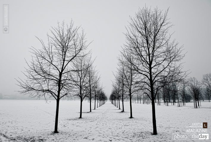 Rows by Luca Renoldi