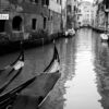 Travel Photography, Award-Winning Photography, Venice Photography, Sergey Grachev, Photo of the Day – Venice, by Sergey Grachev Venice, by Sergey Grachev - Travel Photography, Award-Winning Photography, Venice Photography, Sergey Grachev, Photo of the Day