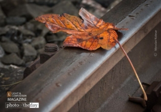 The Fallen One by Miroslav Kolesar