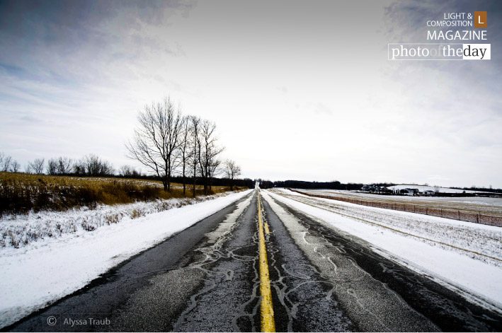 Snowy Road by Alyssa Traub