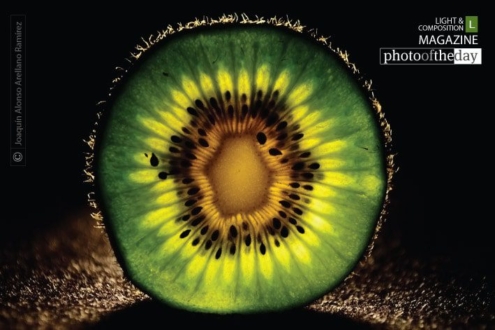Kiwi by Joaquín Alonso Arellano Ramírez - Food Photography, Photography Awards, Photo of the Day,  Award Winning Photography,  Macro Photography