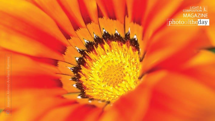 Core by Joaquín Alonso Arellano Ramírez