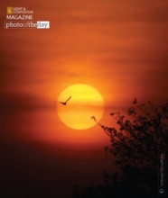 Touching the Sun, by Vaibhav Choudhary