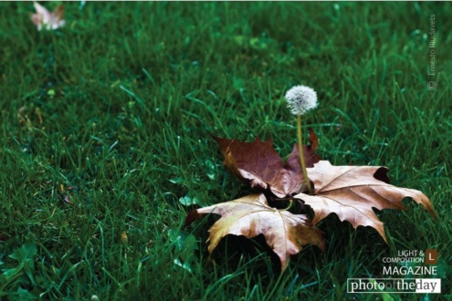 Bruixa by Riudavets Ernesto Vidal - Photo of the Day, Photojournalism, Still Life Photography, Riudavets Ernesto Vidal, Art Photography