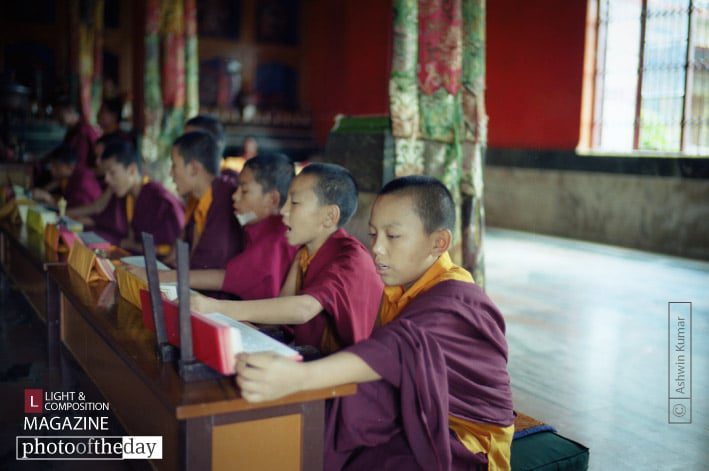 Monks in Training, by Ashwin Kumar