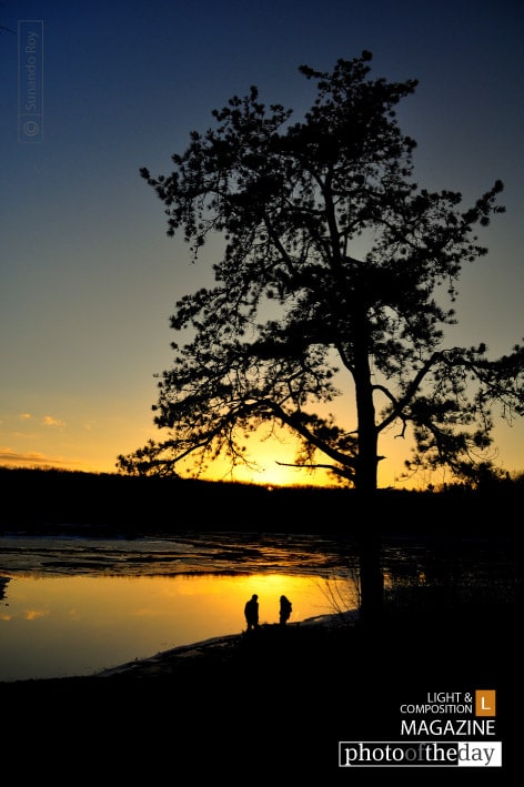 Pure Gold, by Sunando Roy