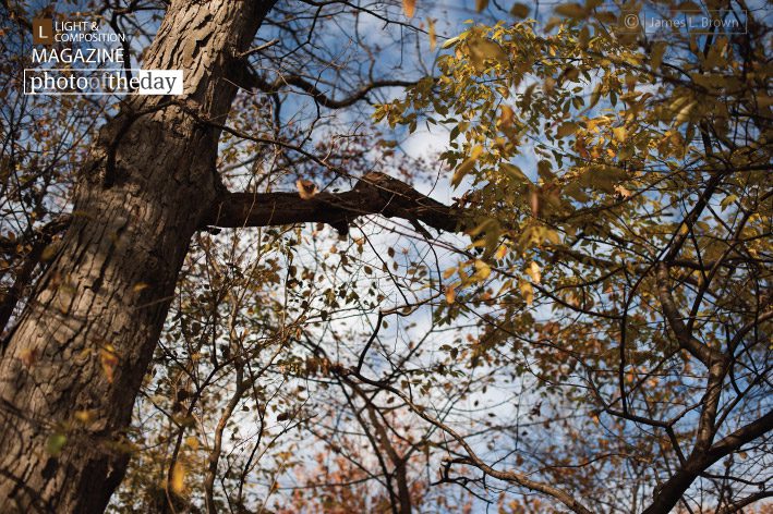 The Sky is Falling, by James L. Brown - Nature Photography, Photography Award, Photo of the Day,  James L. Brown,  Light & Composition University
