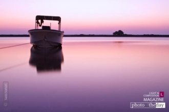 Its Resting Time, by Sarin Soman