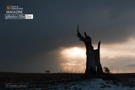 Old Man of the Lane, by James Brown - Nature Photography, Photography Award, Photo of the Day, Landscape Photography, Art Photography