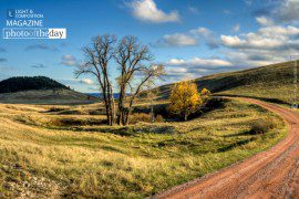 Circles, by Teresa Boardman - Landscape Photography, Photography Award, Photo of the Day, Award Winning Photography, Nature Photography