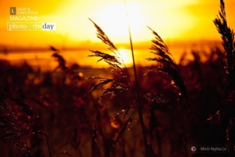 Sunset at Winter, by Nuno Alexandre