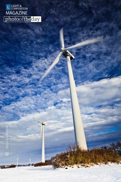 Renewable Energy, by Nuno Alexandre