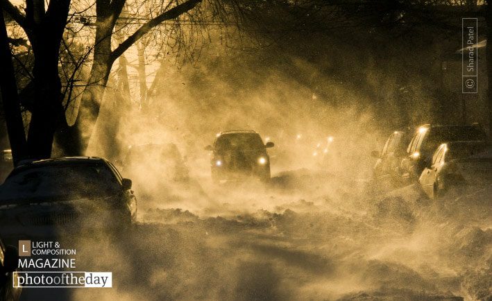 Courage to Move Forward, by Sharad Patel Courage to Move Forward, by Sharad Patel