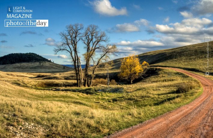 Circles, by Teresa Boardman Circles, by Teresa Boardman