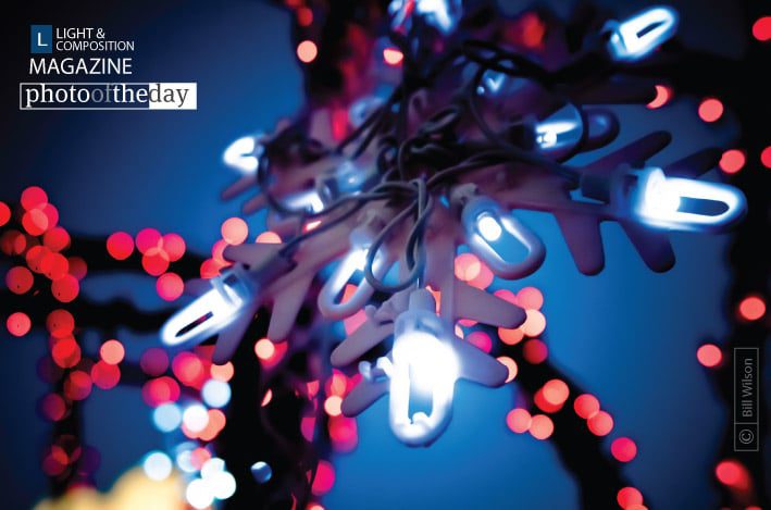 Mozart's Snowflake, by Bill Wilson - Abstract Photography, Photography Awards, Photo of the Day, Art Photography, Online Photography Courses