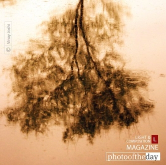 Sorrow..., by Vinay Joshi - Abstract Photography, Photo of the Day, Photojournalism, Photography Awards, Online Photography Courses