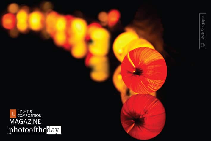 Glowing Caterpillar by Avik Sengupta - Abstract Photography, Light Painting, Reflection Photography, Photo of the Day, Photography Awards