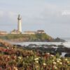 Landscape Photography, Pigeon Point Lighthouse, California Coast Photography, Fine Art Photography, Photo of the Day – Pigeon Point Light Station by Elizabeth Brown Pigeon Point Light Station by Elizabeth Brown - Landscape Photography, Pigeon Point Lighthouse, California Coast Photography, Fine Art Photography, Photo of the Day