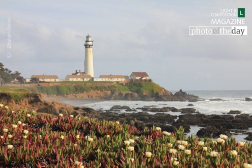 Pigeon Point Light Station by Elizabeth Brown - Landscape Photography, Pigeon Point Lighthouse, California Coast Photography, Fine Art Photography, Photo of the Day