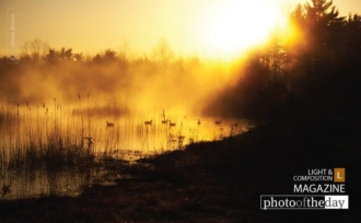 On Golden Pond by James L. Brown