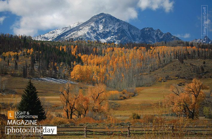 Gold Standard, by Barry Steven Greff - Nature Photography, Award Winning Photography, Fine Art Photography, Photo of the Day, Light & Composition University