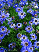 Valley of Haven, by Tathagata Das