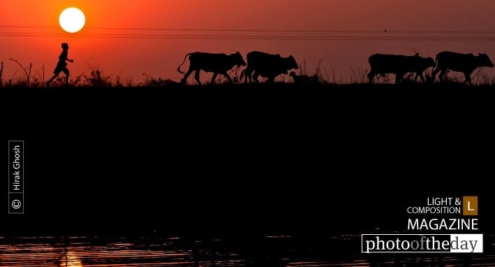 I Am Going Home, by Hirak Ghosh - Photojournalism, Photography, Documentary Photography,  Art Photography,  Photo of the Day