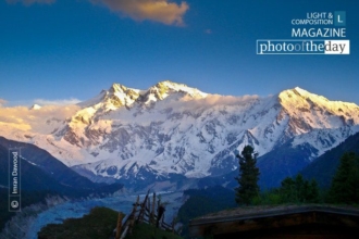 The Naked Mountain, by Imran Dawood