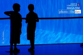 Brothers by Jose Renteria