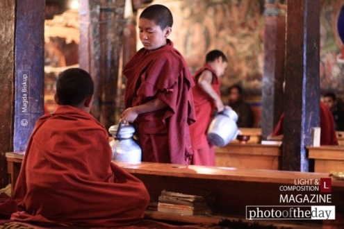 Young Monks, by Magda Biskup - Documentary Photography, Photojournalism, Magda Biskup, Photography Awards, Ladakh