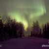 Aurora Borealis, by Ryan Marquis - Aurora Borealis, Night Photography, Astrophotography, Landscape Photography, Photo of the Day